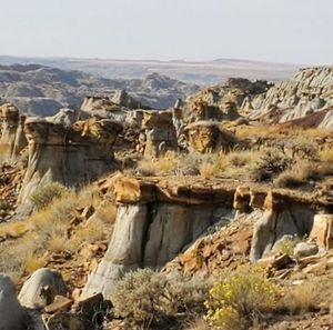 Meet your Posher, Penni